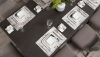 Picture of TERAPOR DINING TABLE SET 8 CHAIRS