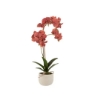 Picture of DIPRIX FLOWER WITH POT 57CM