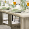 Picture of ELOIS DINING TABLE SET 12 CHAIRS