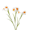 Picture of NARCISSUS ARTIFICIAL FLOWER 62CM